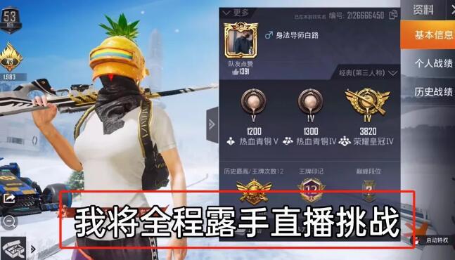 和平精英辅助《战神w》直装全网首发吃鸡吃到手软
